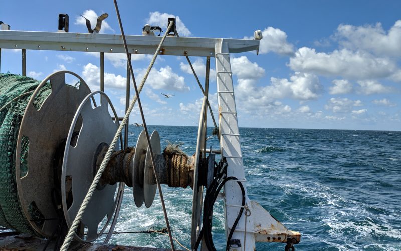 Physical Impact of Demersal Fishing Gears Fisheries Innovation