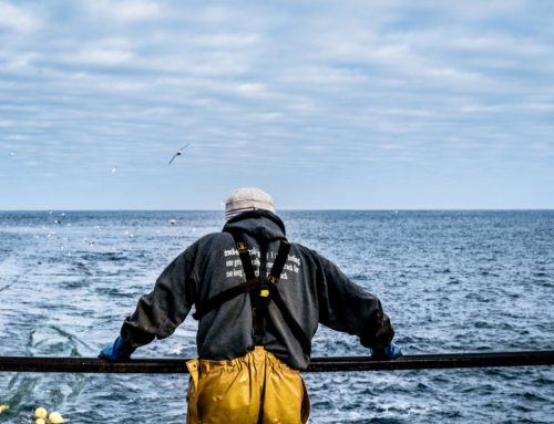 Fisher designed mobile app aims to reduce unwanted bycatch on the west coast of Scotland – report now available online
