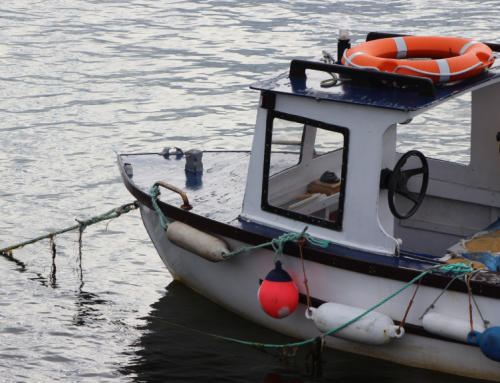 A plan for change – FIS’s reaction to new fisheries fund