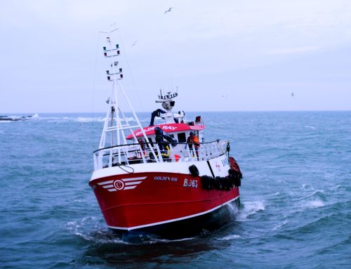 Pioneering Prawn Stunning and Tailing Machine Nets Funding For Next Phase